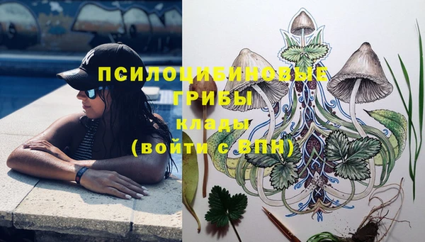 МДМА Пролетарск
