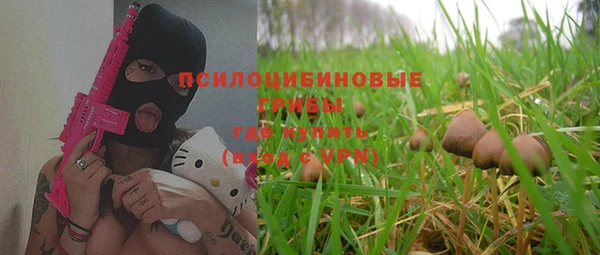 мет Белокуриха
