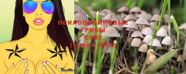 МДМА Беломорск